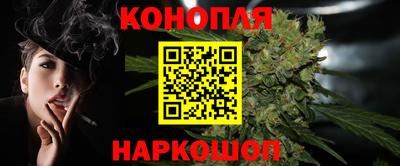 mdpv Краснознаменск