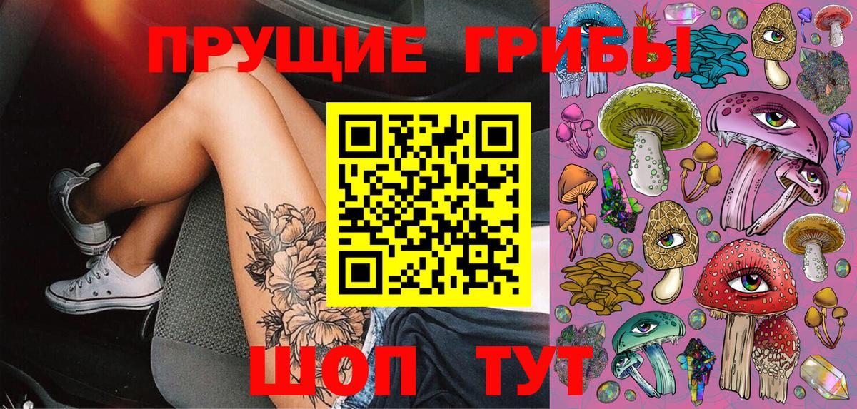 Псилоцибиновые грибы Cubensis  Галлюциногенные грибы Psilocybe  Каменск-Уральский  Вход с VPN 